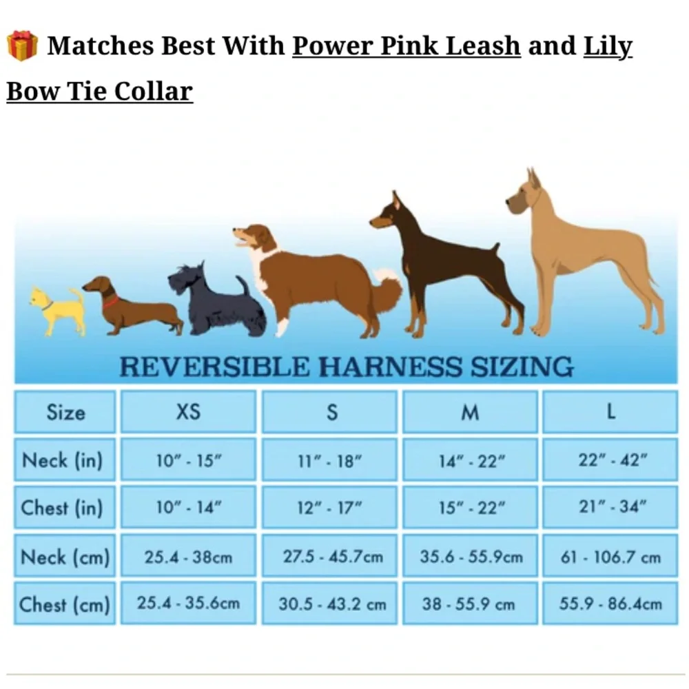 Pack Leash Reversible Harness - Picture 5 of 5